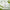 COSRX Hydrium Green Tea Aqua Soothing Gel Cream 50ml