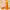 medicube Kojic Acid Turmeric Purifying Gel Cleanser 500ml