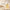 Biodance Skin Glow Vital Ampoule 30ml