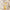 Beauty of Joseon Ginseng Cleansing Oil 210ml