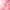 numbuzin No.2 Rose PDRN Collagen Plumping Serum 30ml