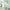 COSRX Hydrium Green Tea Aqua Soothing Gel Cream 50ml