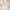 mixsoon Bean Balancing Ampoule Mist 100ml