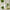 Anua Heartleaf Cleansing Oil 200ml
