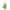 Celimax The Real Noni Energy Ampoule 80ml