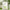Beauty of Joseon Centella Asiatica Calming Mask 10 Sheets