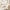 mixsoon Bean Balancing Ampoule Mist 100ml