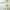 Torriden Balanceful Cica Soothing Cream 80ml