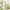 Innisfree Sérum Acide Hyaluronique et Thé Vert 80ml