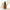 Physiogel Sciencticals Dailymune Ampoule 20ml