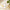 Anua Heartleaf Cleansing Oil 200ml